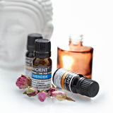 10 ml Lavender Essential Oil - Hira Online