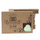 Box of 6 Wax Melts - Apple Spice - Hira Online