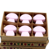 Box of 6 Wax Melts - Ylang Ylang - Hira Online