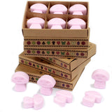 Box of 6 Wax Melts - Ylang Ylang - Hira Online