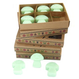 Box of 6 Wax Melts - Liquorice - Hira Online