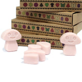 Box of 6 Wax Melts - Old Ginger - Hira Online