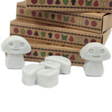 Box of 6 Wax Melts - Dark Patchouli - Hira Online