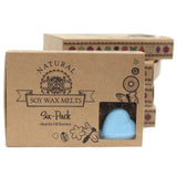 Box of 6 Wax Melts - Dewberry - Hira Online