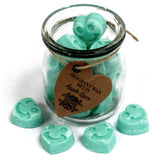 Soywax Melts Jar - Apple Spice - Hira Online