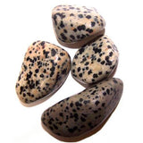 24x L Tumble Stones - Dalmation Stone - Hira Online
