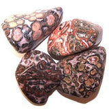 24x L Tumble Stones - Leopard Skin - Hira Online